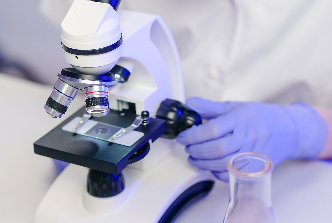 Ricerca scientifica 
