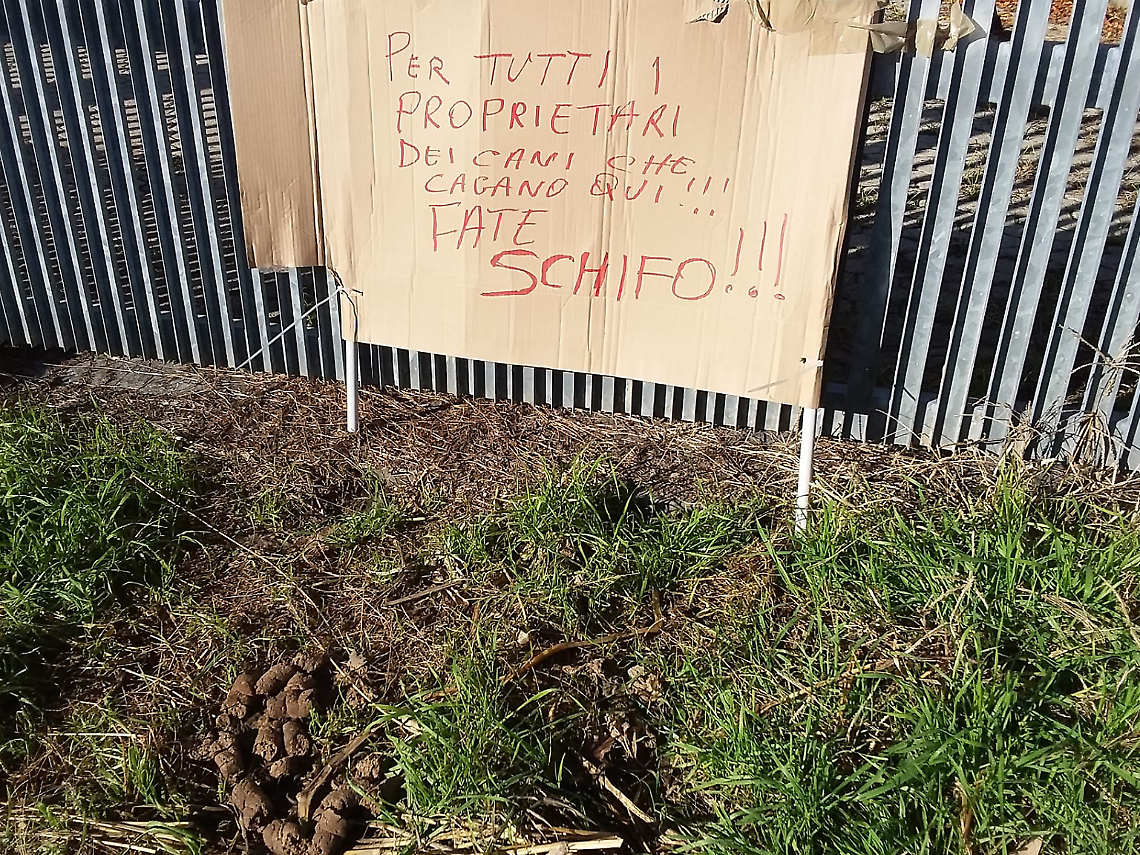 Il Sindaco: "Vigili in borghese per multare chi non raccoglie la cacca del cane"