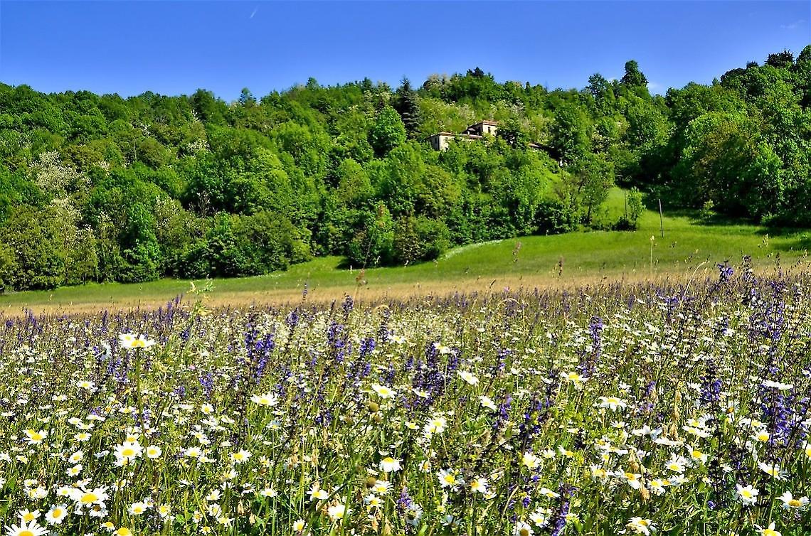 Scatti dalla collina torinese
