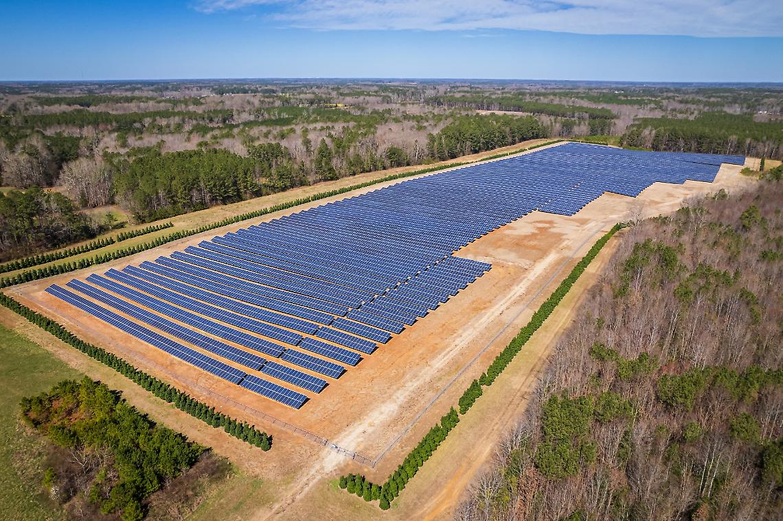 Terreni fertili rubati all'agricoltura per piazzare pannelli fotovoltaici: è uno scandalo. Così di distrugge tutto!