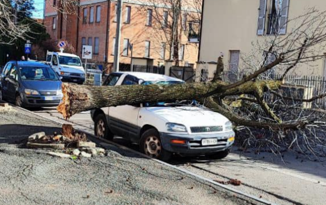 Ciriè albero cade su un'auto