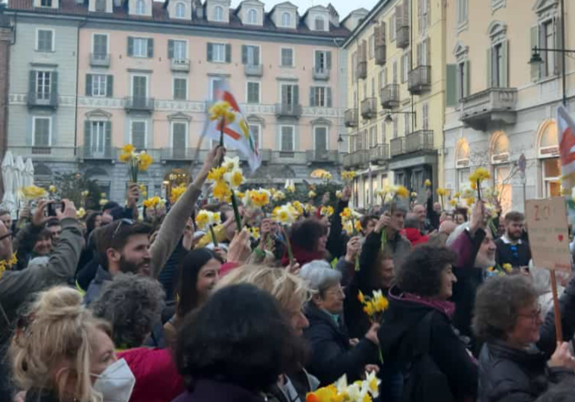 Narcisi in piazza