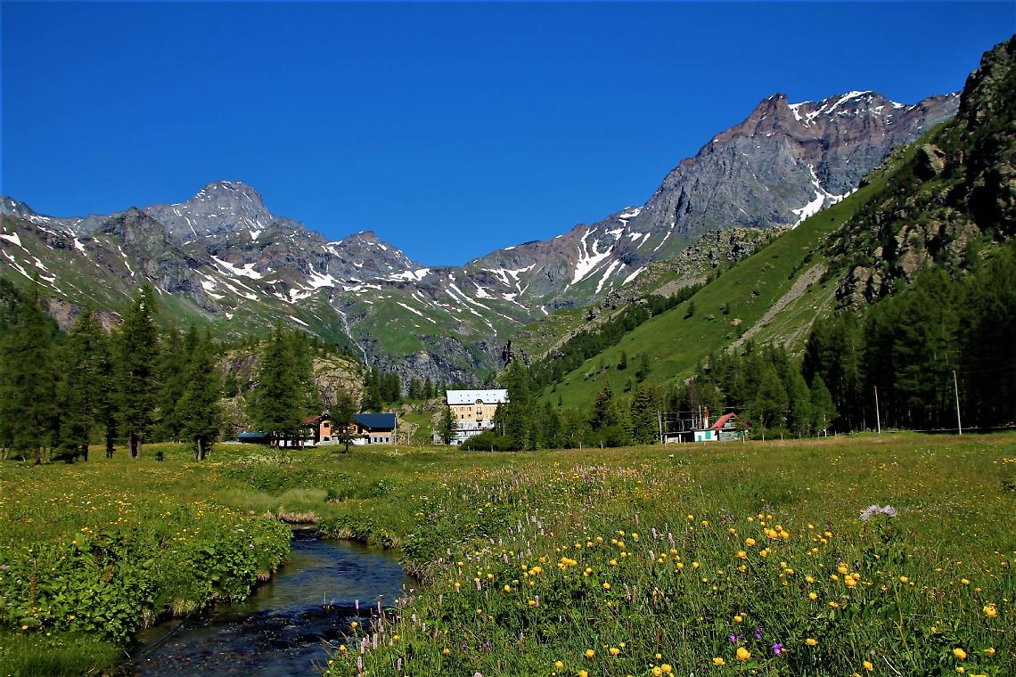 Balme