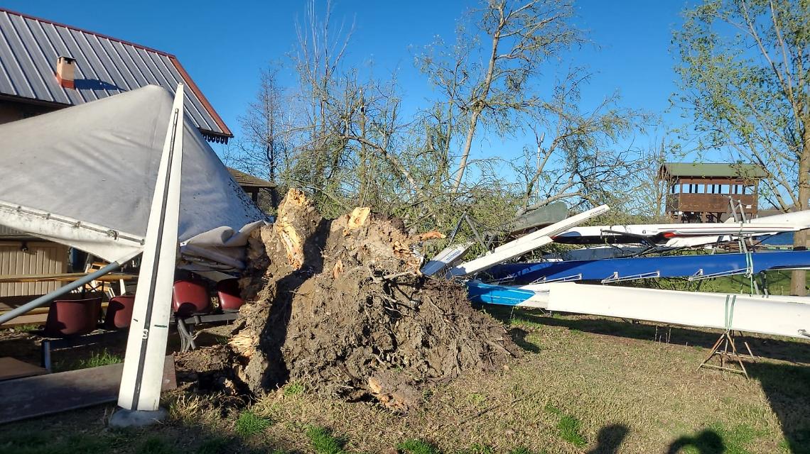 albero caduto canottieri candia