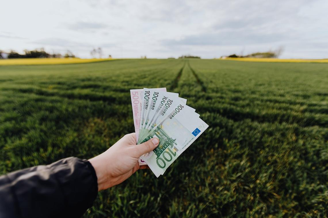 Il Comune ha pagato 450 euro per la presentazione di un libro, tutto normale?!
