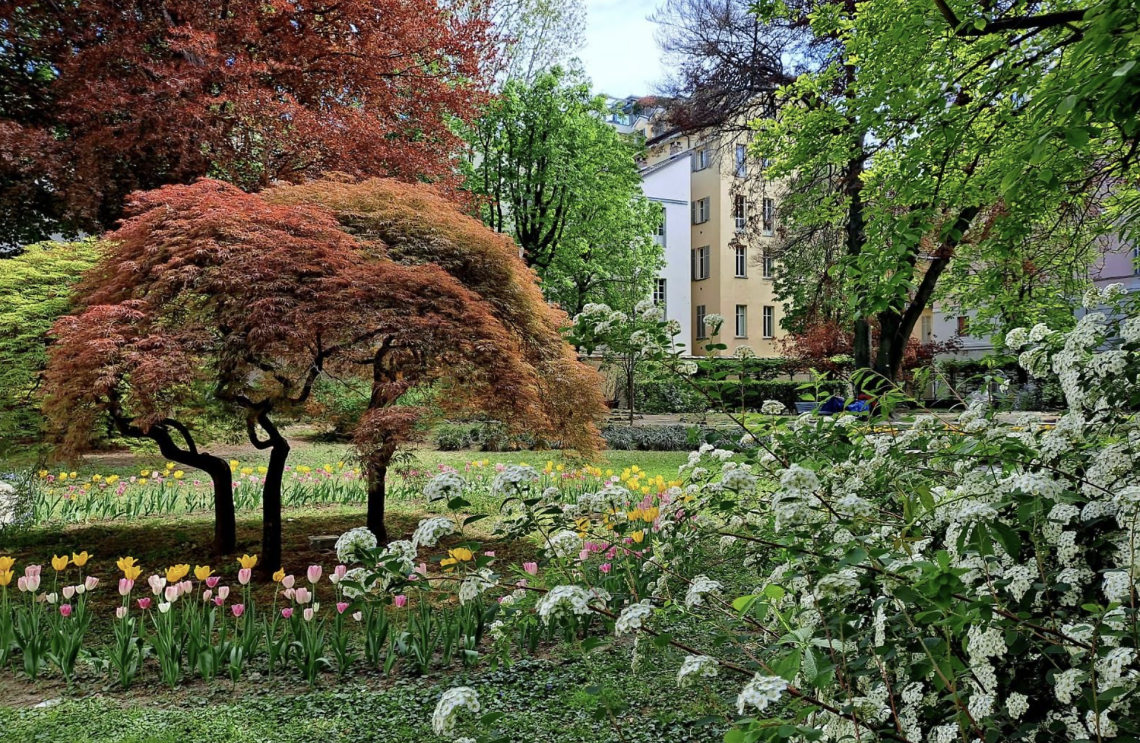 Giardino Palazzo Cisterna