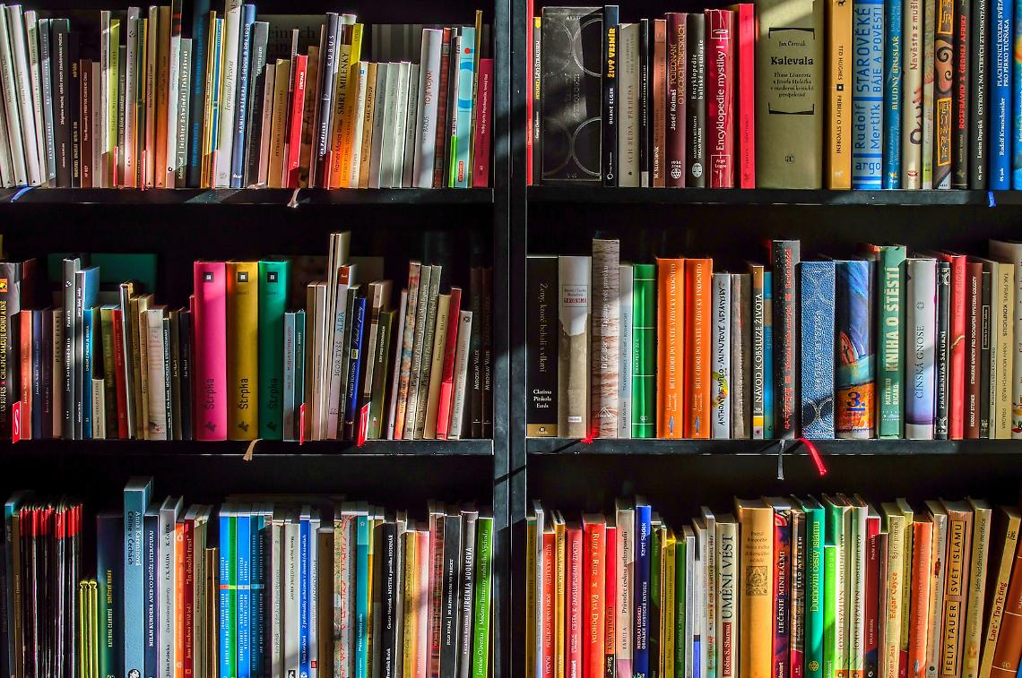 Libri esposti (immagine d'archivio)
