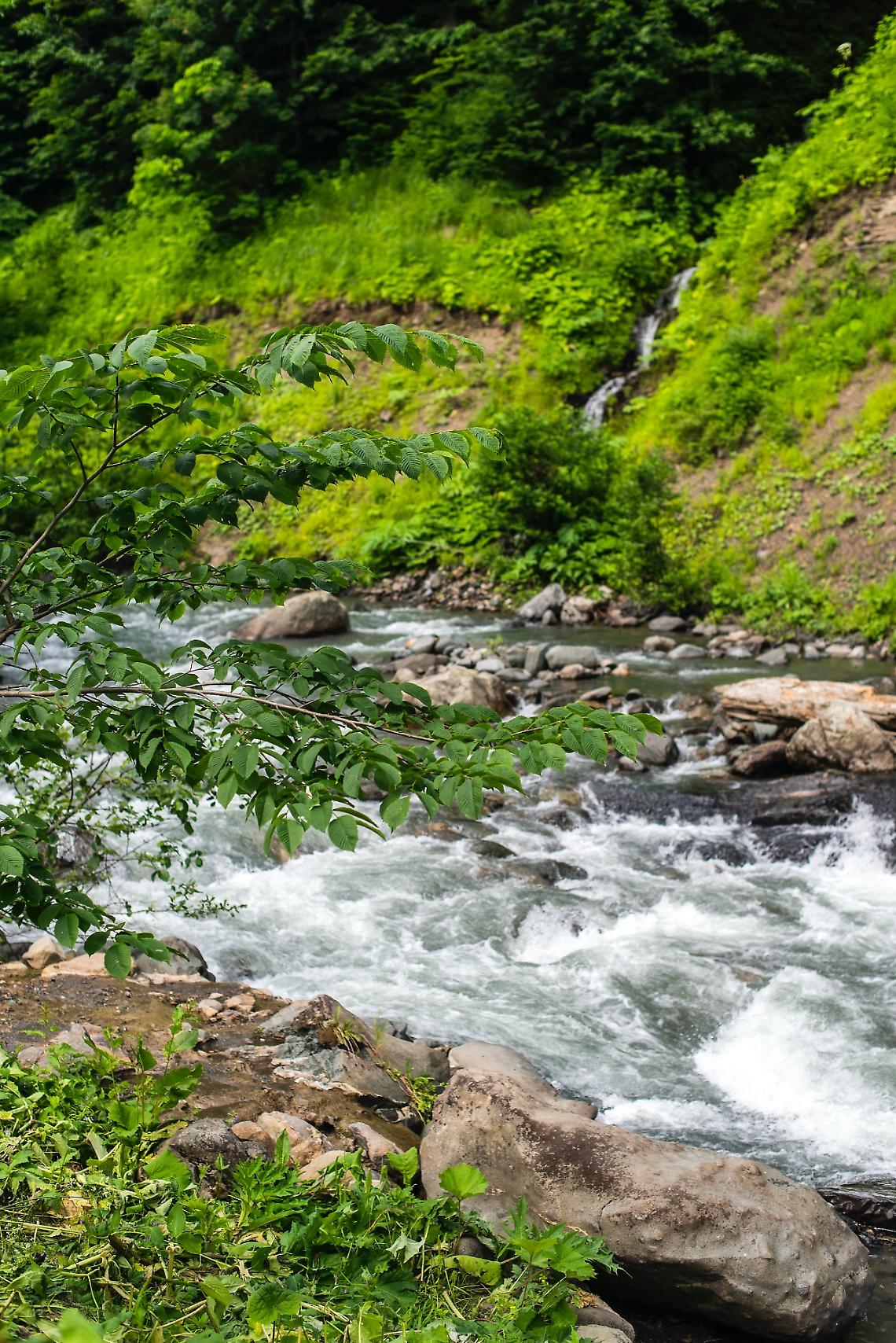 Il cadavere di un giovane emerge dalle aqcue del fiume Orco. Comunità sconvolte. 