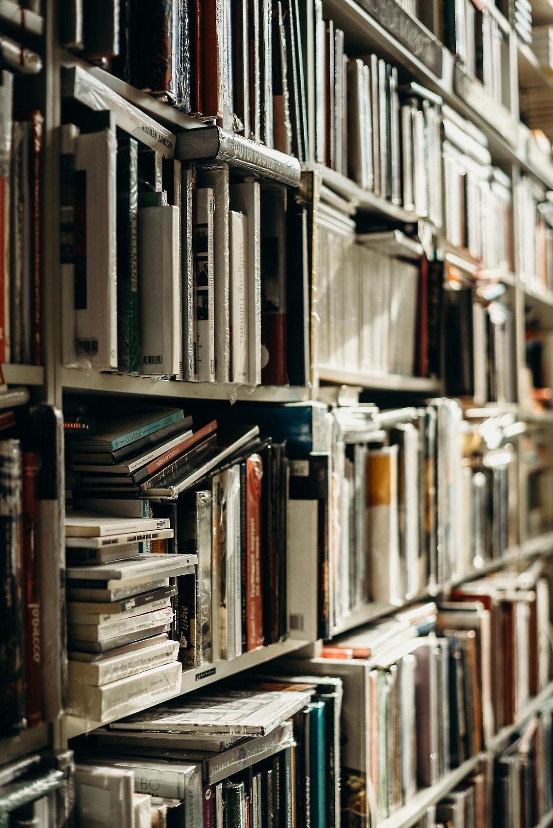 Il Mondo dei libri 