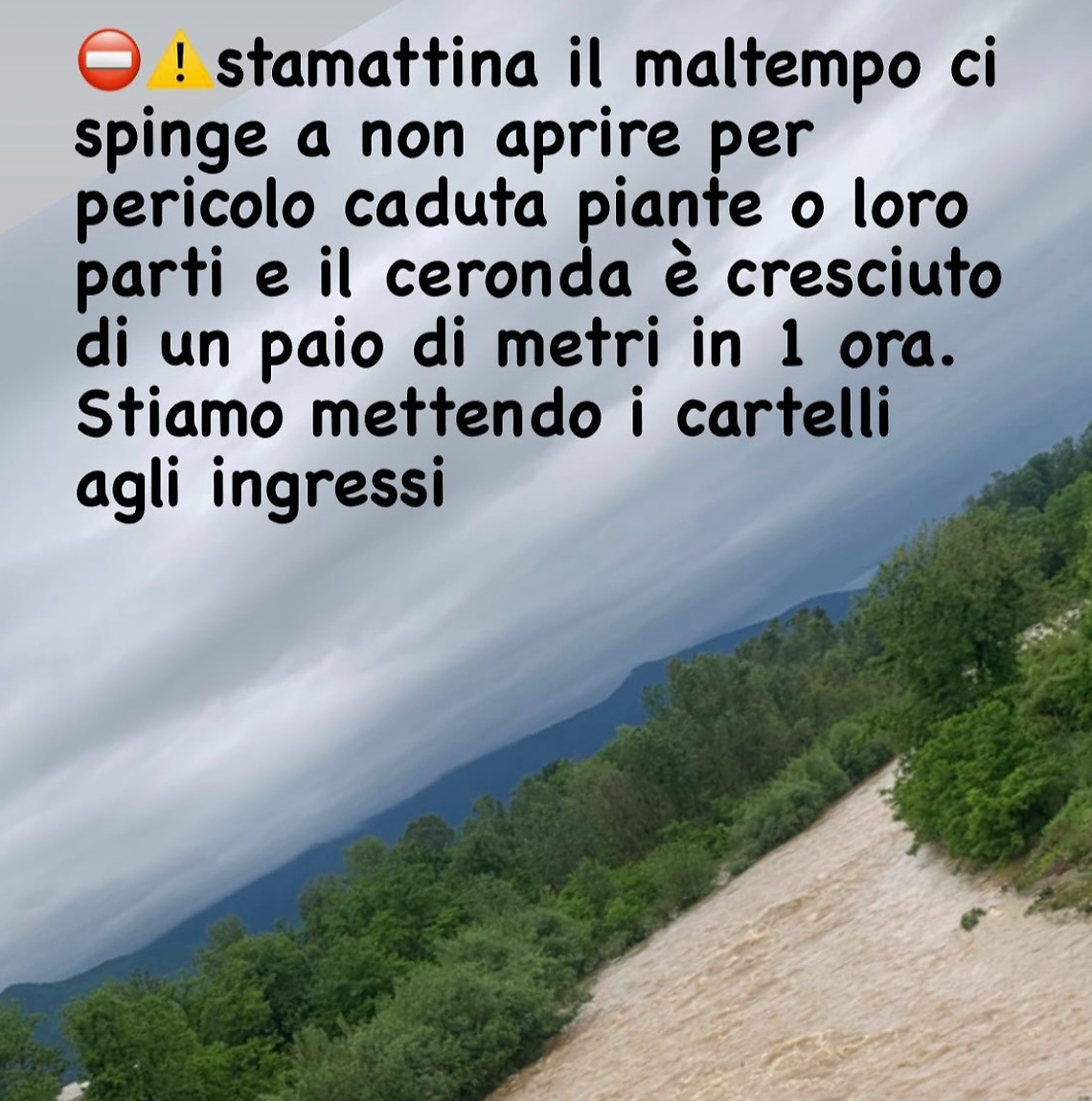 PIOGGIA: Il fiume supera il livello di guardia, pericolo caduta piante alla Mandria