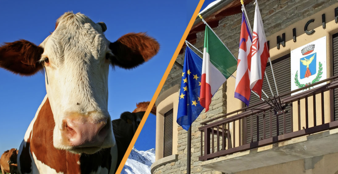 Torna la mostra della toma