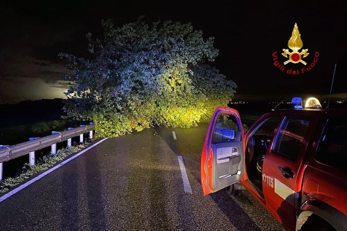 TEMPESTA NELLA NOTTE: Squadre dei Vigili del Fuoco di Vercelli in azione per oltre 35 interventi!