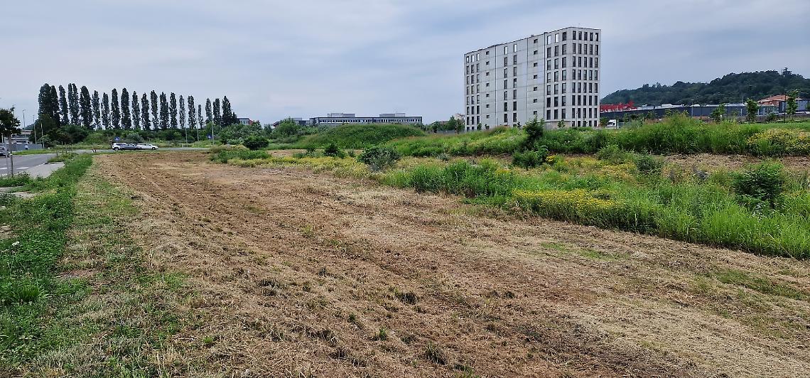 L'area ex Montefibre