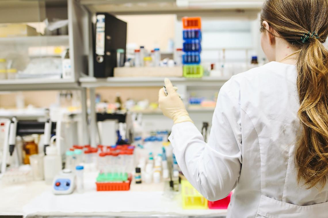 Laboratori