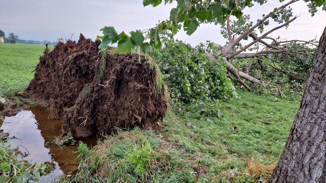 Chiuso l'aeroporto di Caselle, danni a granoturco e uva Avanà