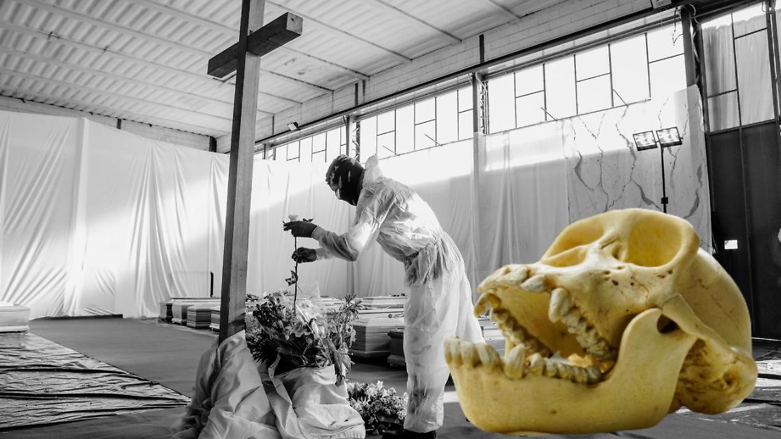 Covid: chi ha i geni Neanderthal lo prende in forma più grave