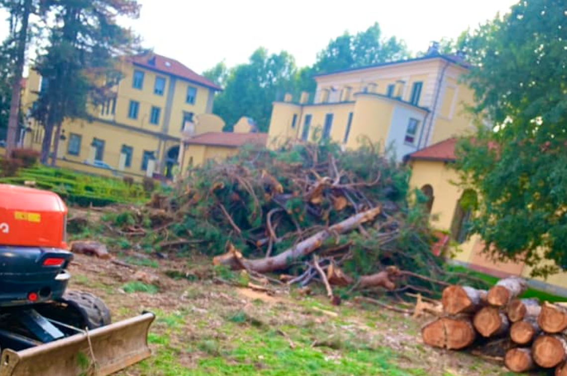 Alberi tagliati a palazzo D’Oria: “Non è restyling: è scempio!”