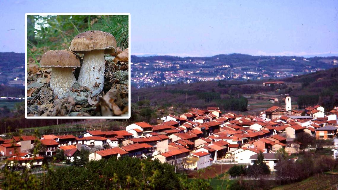 Funghi