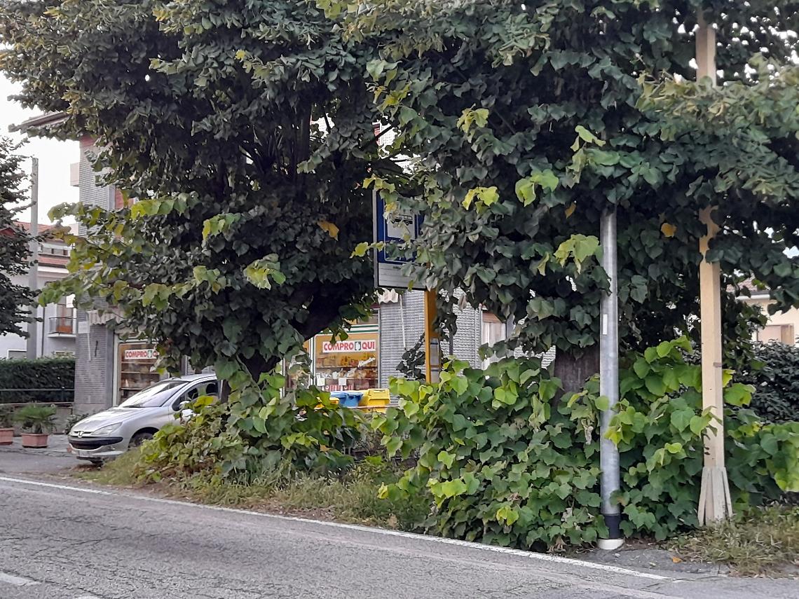 Cuorgnè