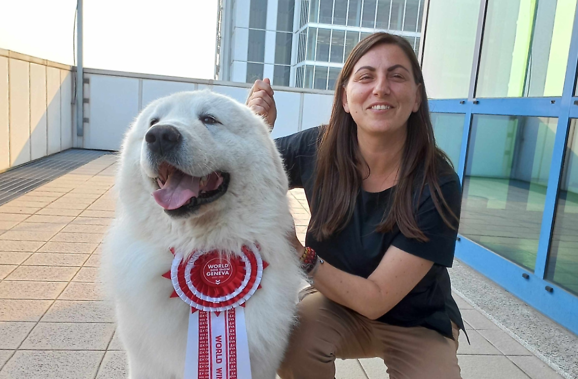 Il cane più bello del mondo vive a Castellamonte