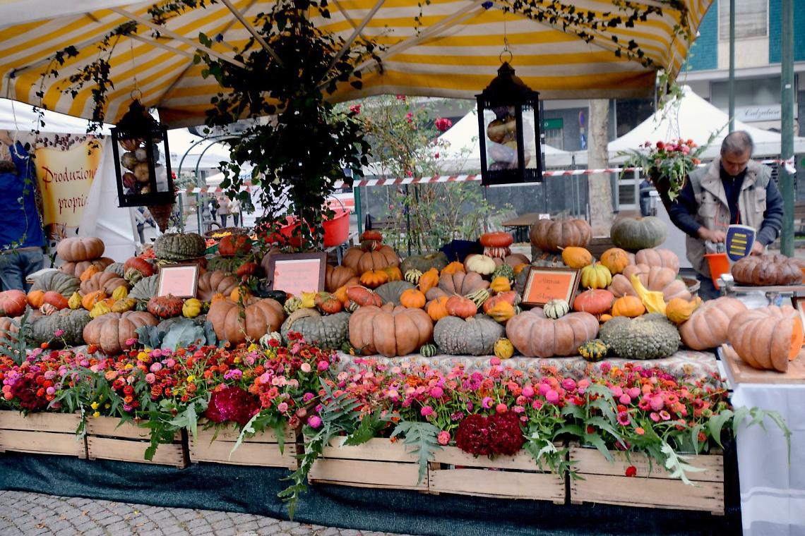 Arte, musica e tante prelibatezze alla corte di sua maestà la Zucca!