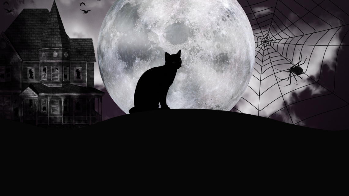 Halloween in biblioteca a Lauriano