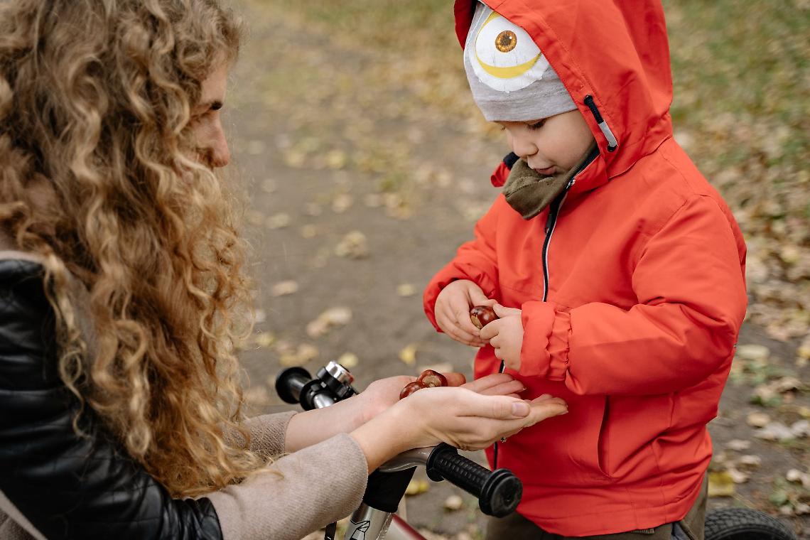 Cancellata la castagnata dei bambini: il Comune dice "No!"