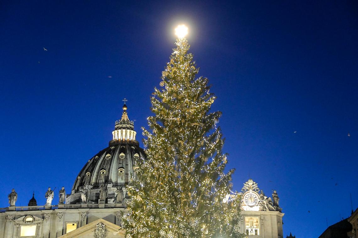 Albero di Natale piazza San Pietro