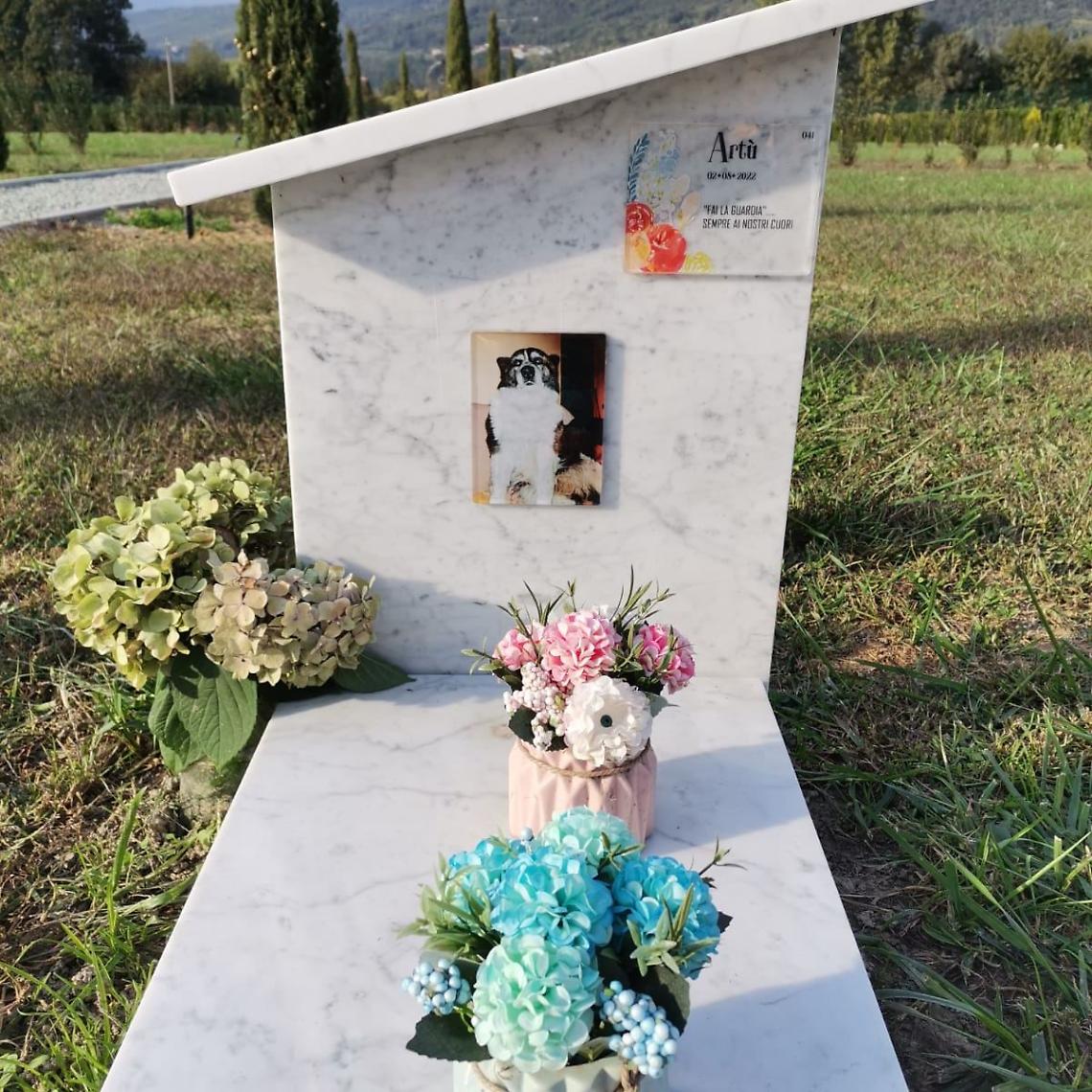 Un nuovo cimitero per animali in Canavese? Ecco dove sarà realizzato 