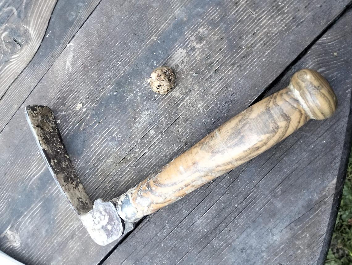 Una mega multa per un "ladro" di tartufi