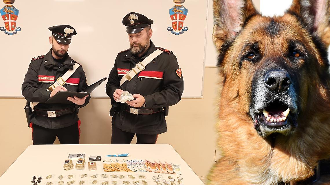 cane poliziotto