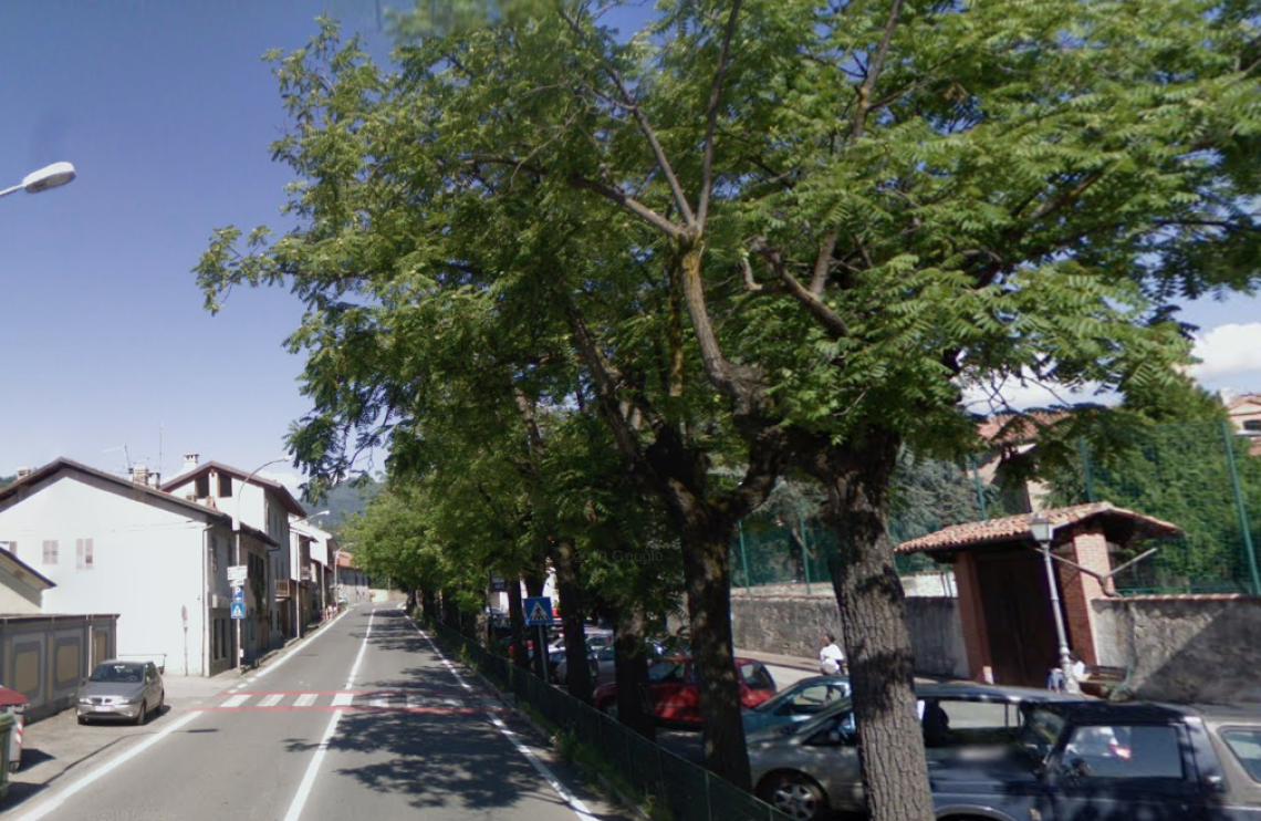 Gli alberi di Corso Ogliani
