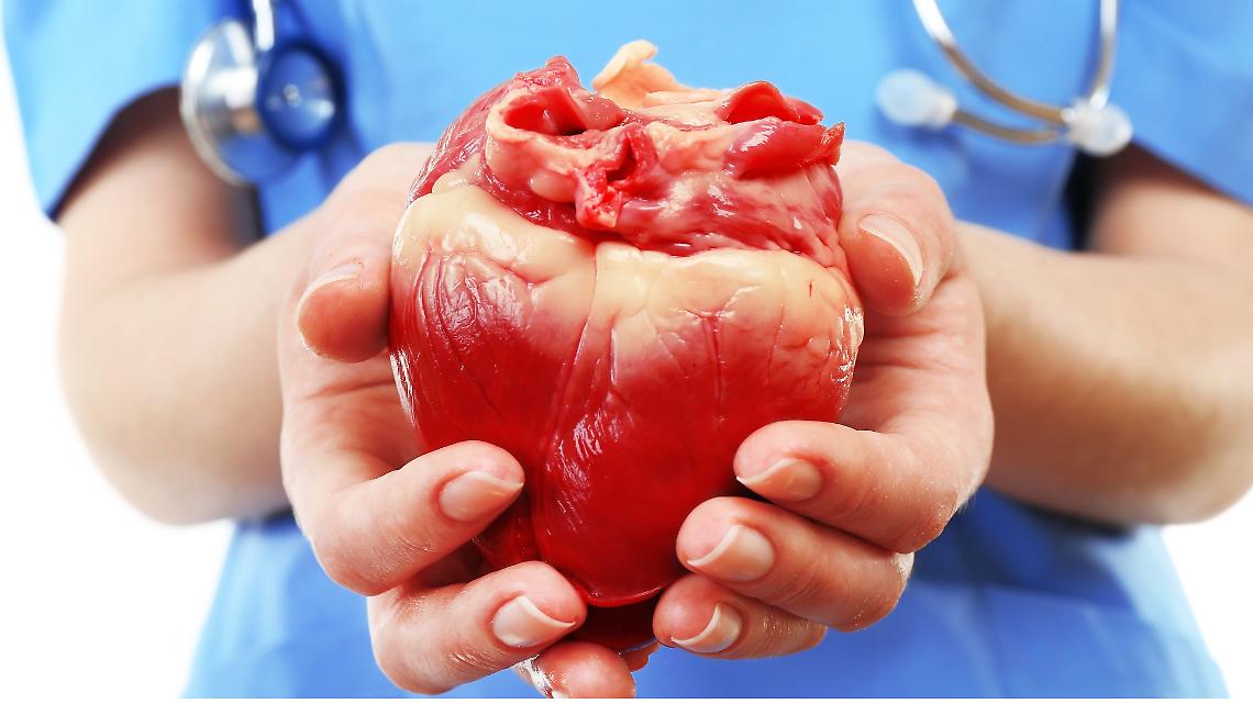trapianto cuore e fegato, Ospedale Molinette, Torino