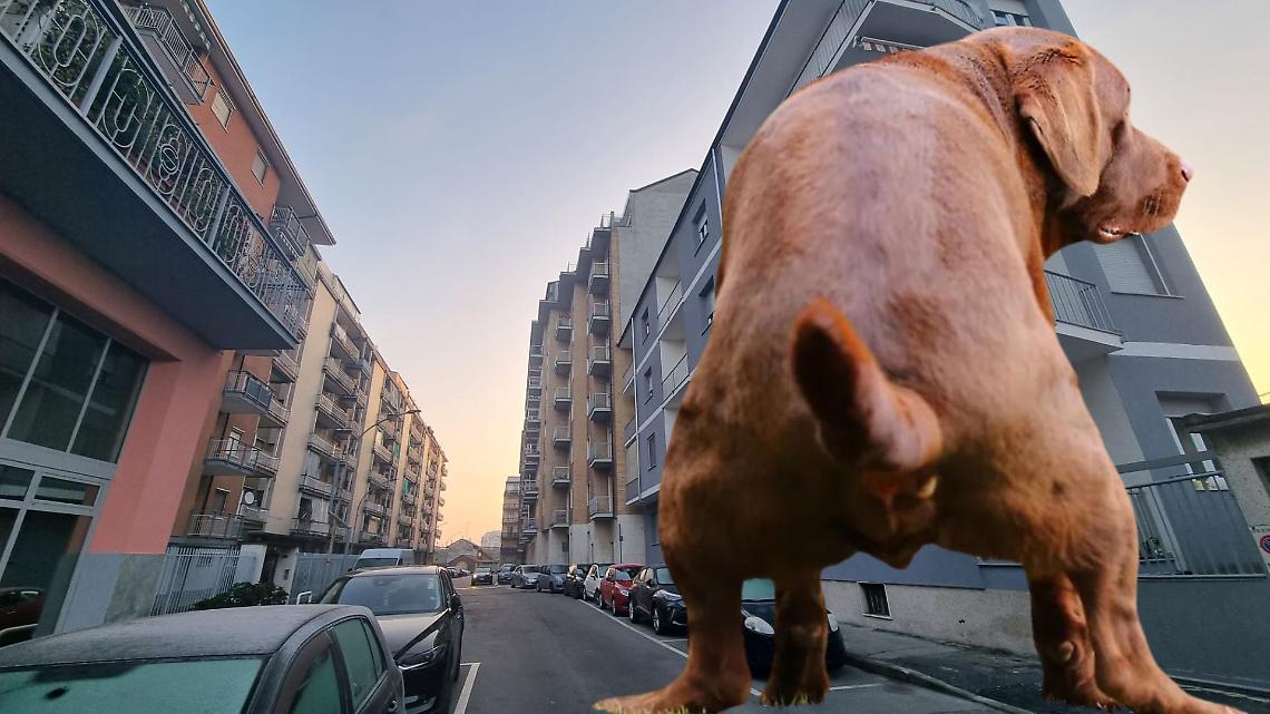 Chivasso