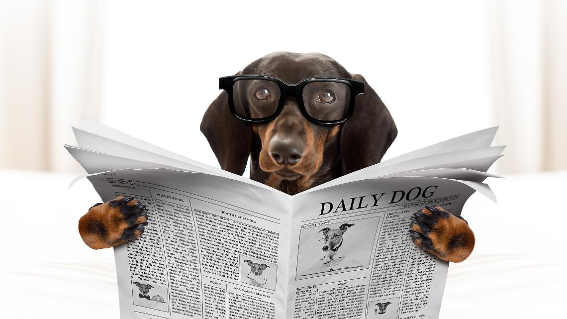 Lettura giornali