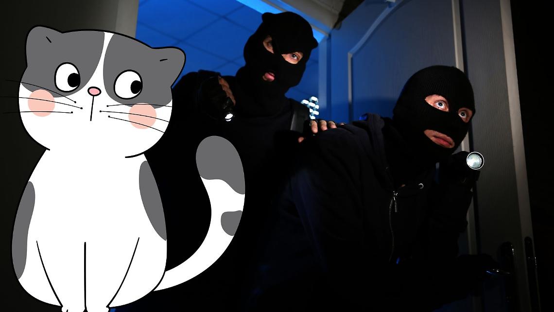 Un gatto mette in fuga i ladri e salva la famiglia