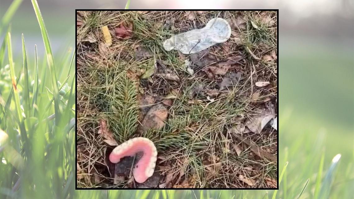 L'area protetta del Canavese si è trasformata in un rifugio per incontri piccanti?