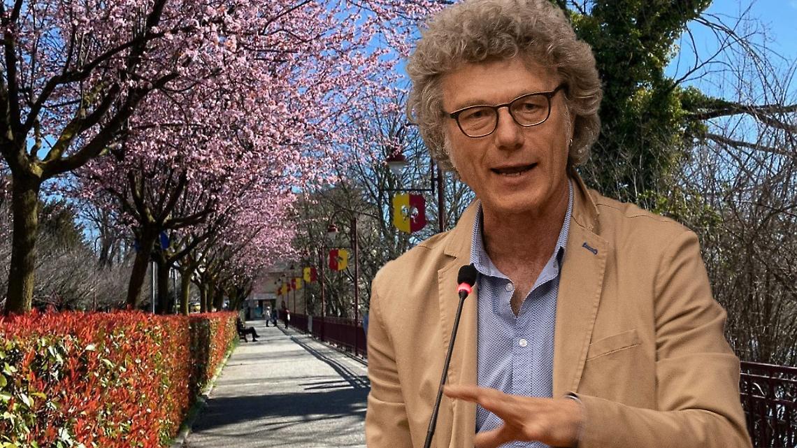 Francesco Comotto
