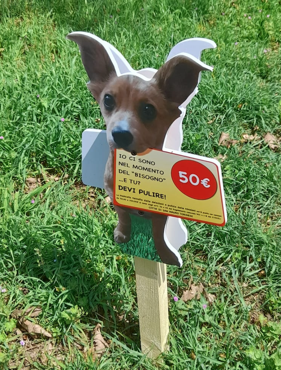 Multe da 50 a 350 euro per chi non pulisce cacca o pipì del cane