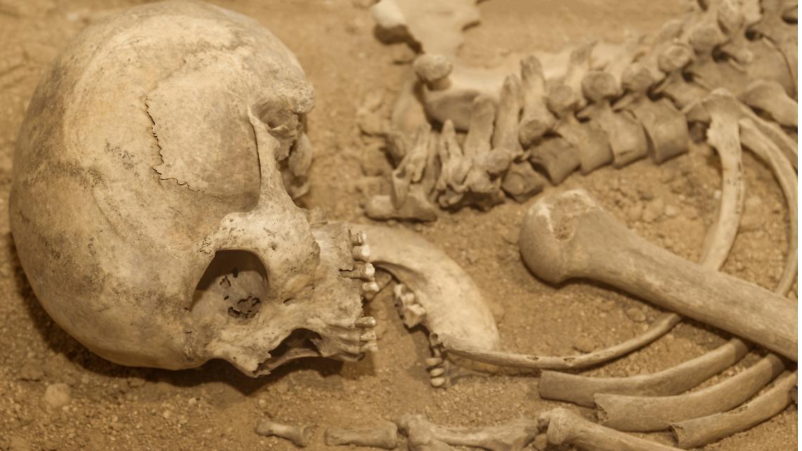 Scopri il fascino della storia e delle Valli di Lanzo e del Canavese: un incontro unico con gli autori di "canavèis"