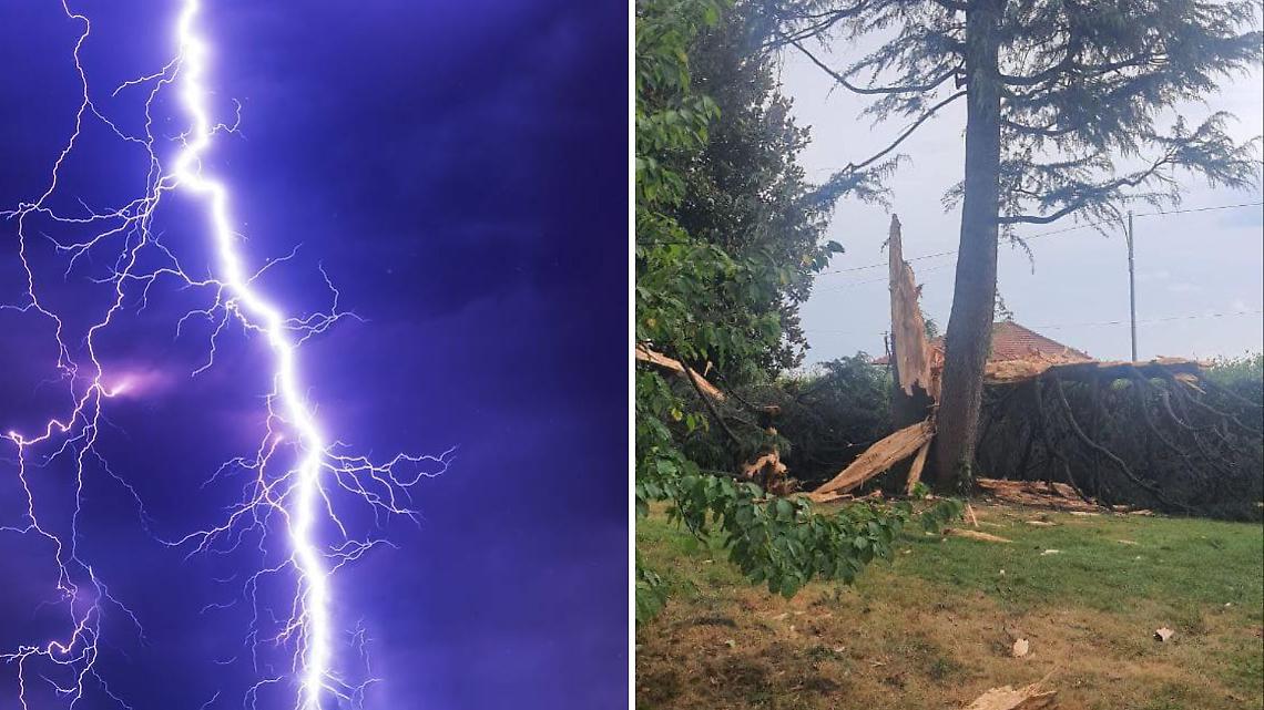Paura in Canavese: un fulmine colpisce un albero e lo apre in due. Sul territorio parte la conta dei danni (FOTO)