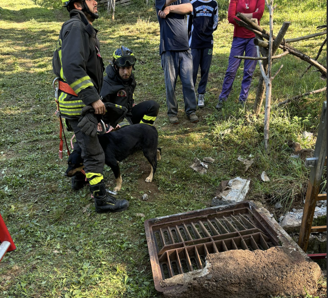 Cagnolino resta intrappolato nel canale di scolo in paese: salvato dal tempestivo intervento dei Vigili del Fuoco (FOTO)