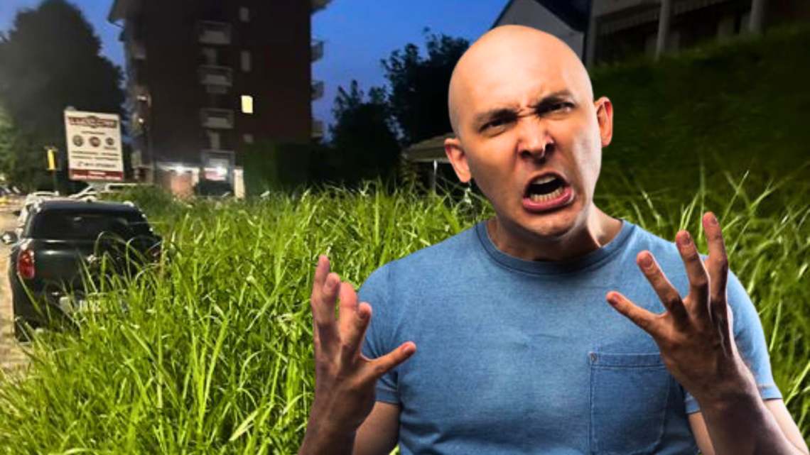 L'erba alta inasprisce sempre di pi&ugrave; il dibattito social