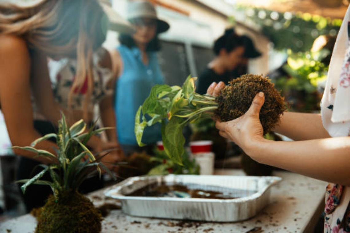 Kokedama