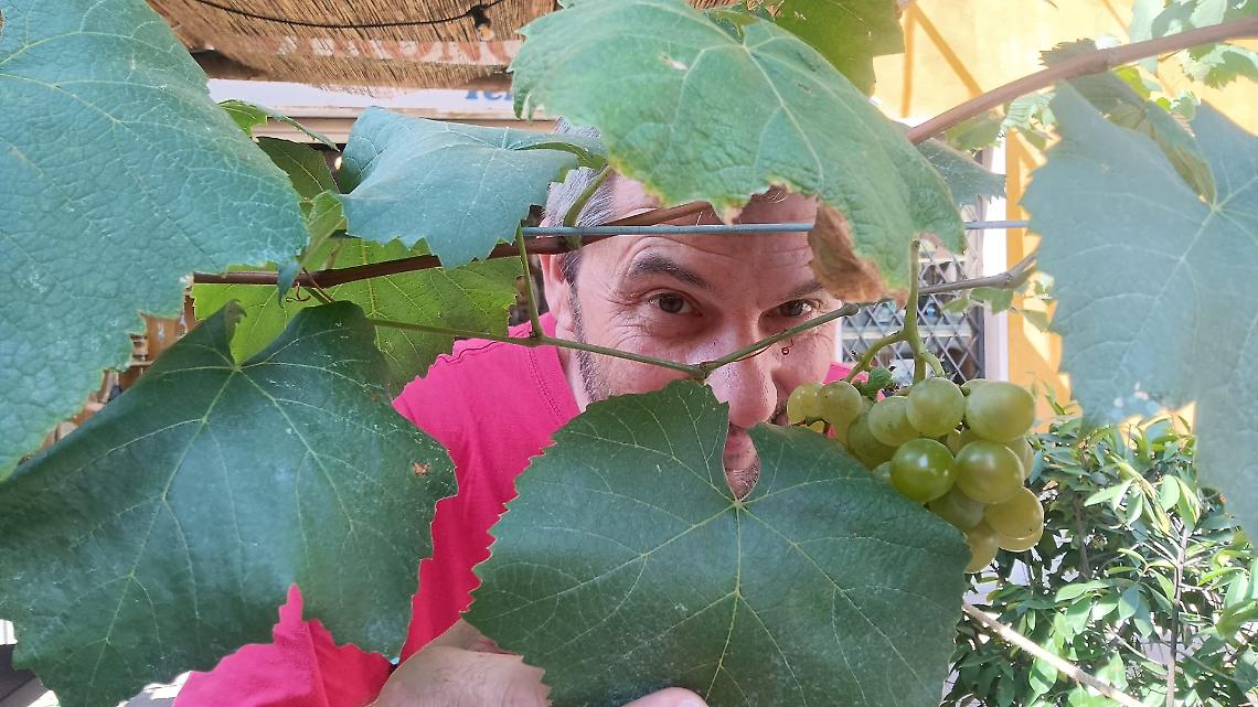 Davide Costa Serra tra i pampini della sua "topia"