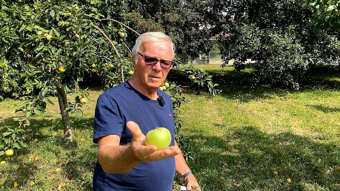 Sagra del Pom Matan 2024: Un Weekend di Sapori e Tradizioni a San Sebastiano da Po