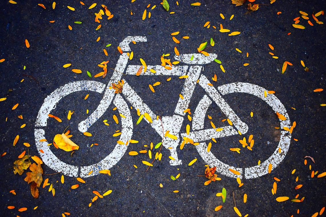 bicicletta