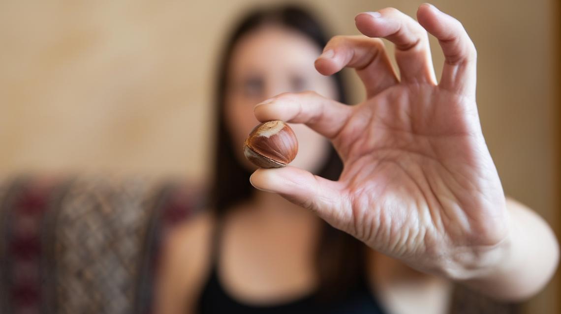 Sagra della Nocciola