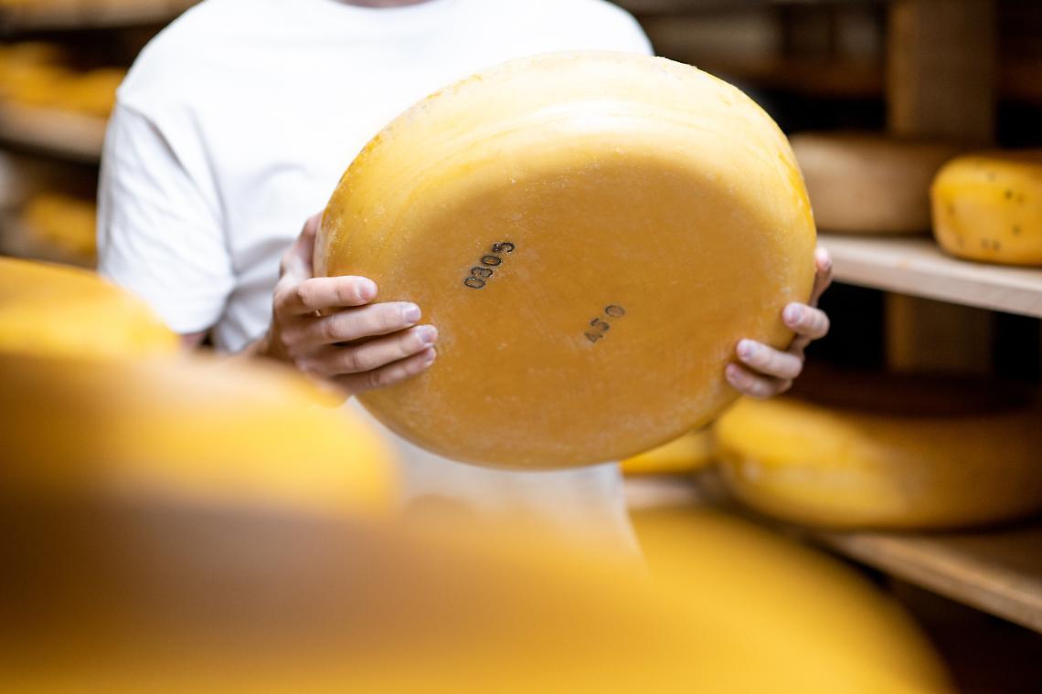 Grana Padano