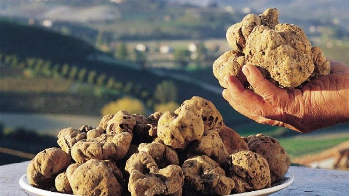 Rivalba profuma di tartufo: la Fiera Nazionale del Bianco 2025 conquista le colline torinesi